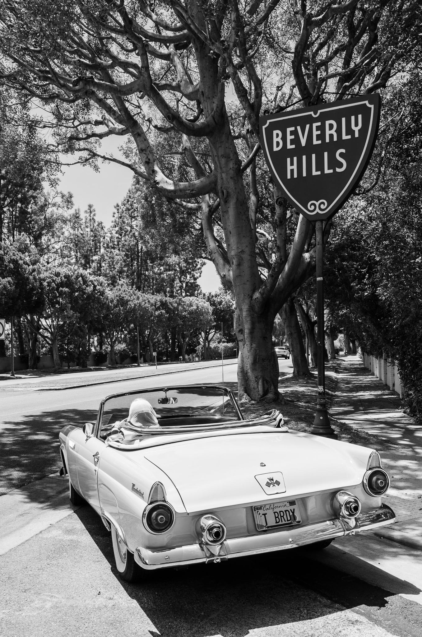 Beverly Hills - Korbin Bielski Fine Art