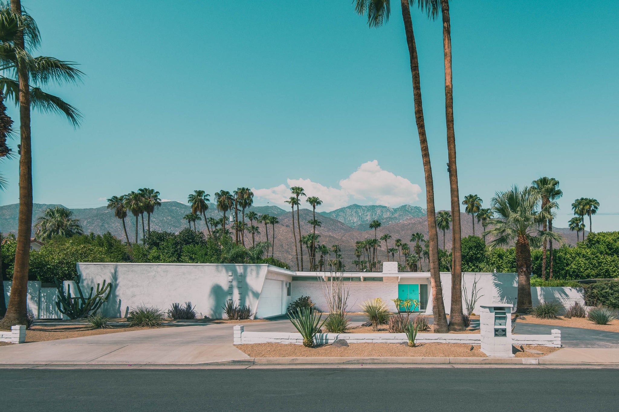Palm Springs California mid century home with palm trees