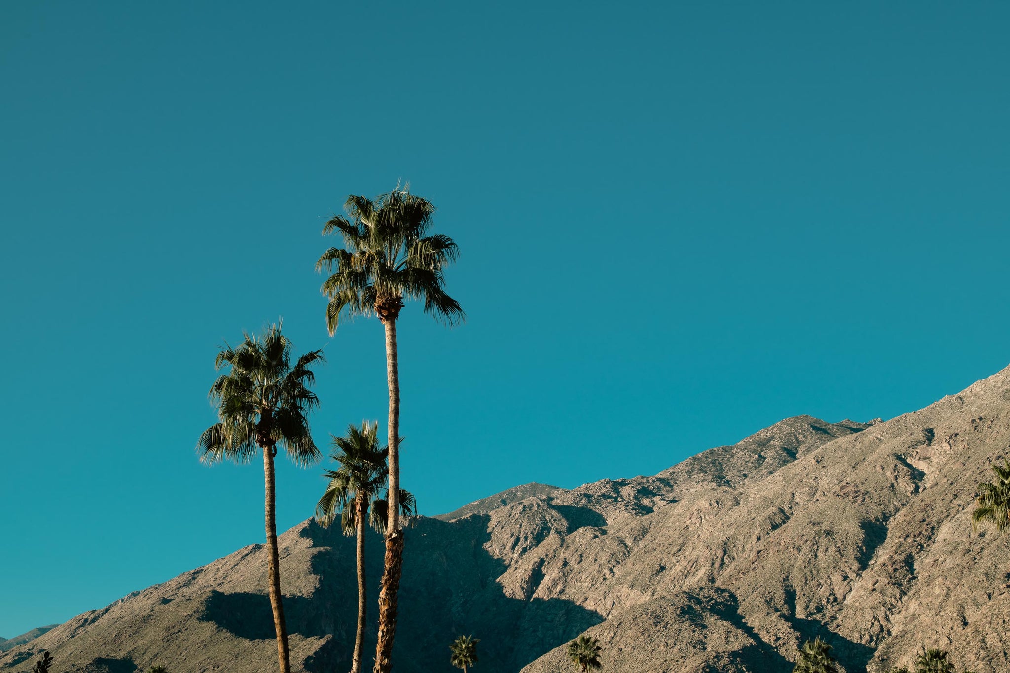 Palm Springs Morning - Korbin Bielski Fine Art