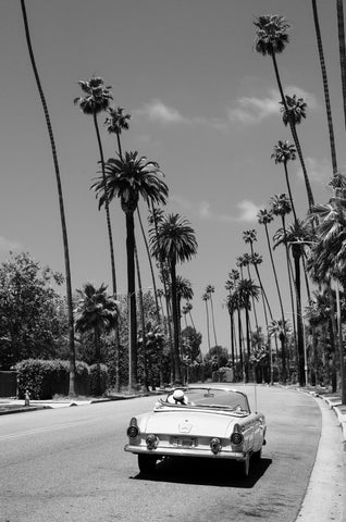 Iconic Los Angeles - Korbin Bielski Fine Art